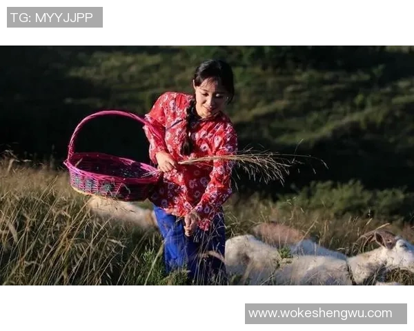 放羊踢足球的球星背后故事 揭秘他如何从乡村走向世界舞台