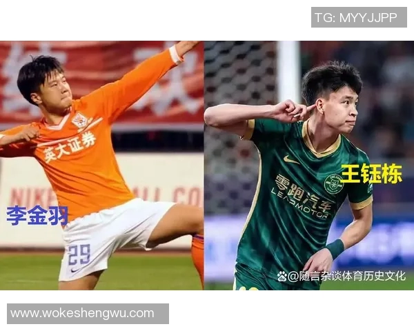 中国足球星火计划推动青训发展助力国足崛起全新战略布局解析